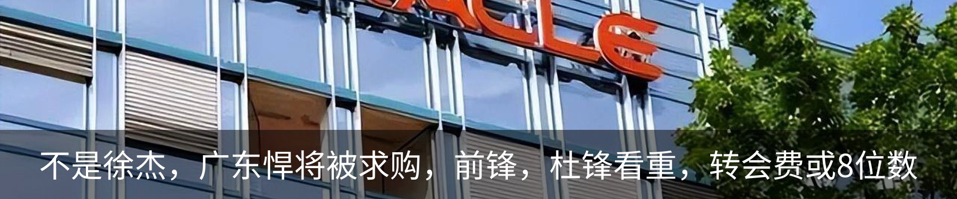 最新动态