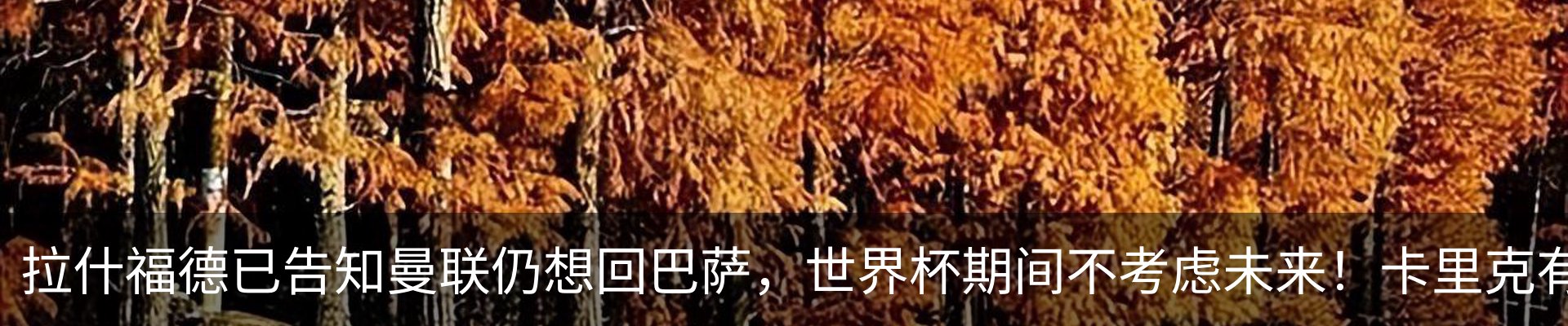 最新动态