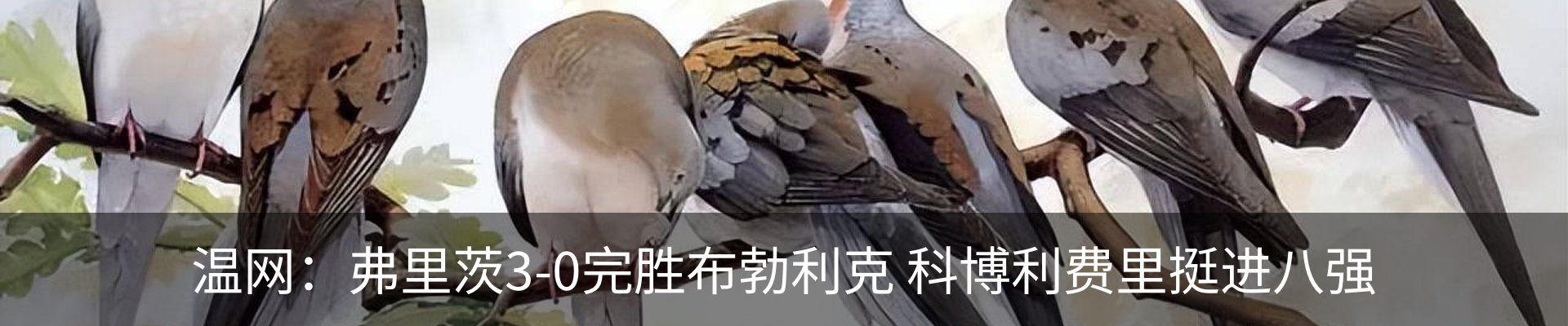 最新动态
