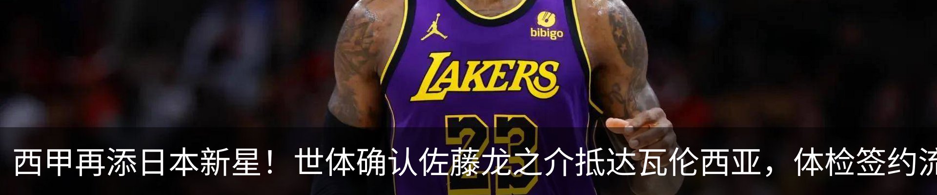 最新动态